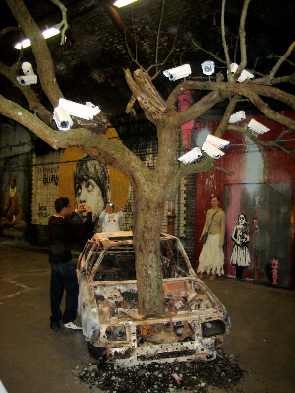 CCTV Tree