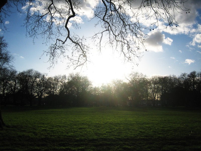 Parco di Kennington (Oval)